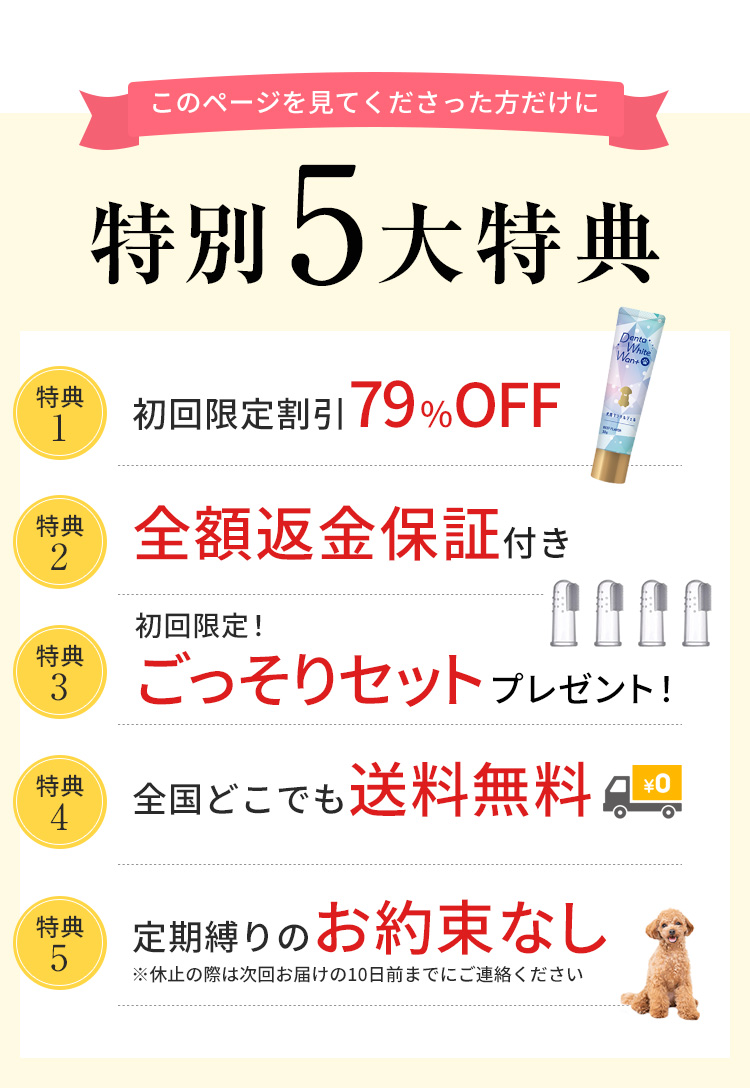 特別5大特典