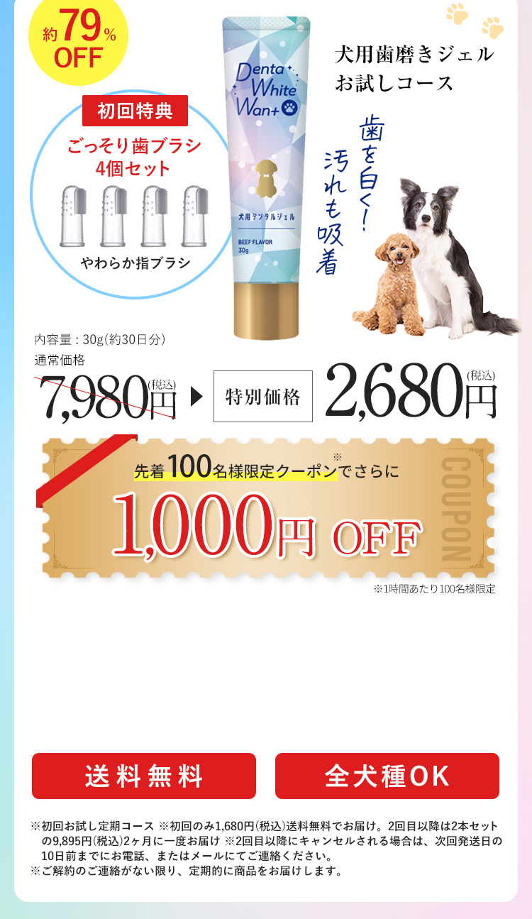 デンタホワイトワン＋