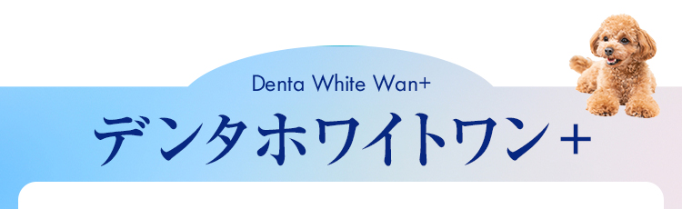 デンタホワイトワン＋