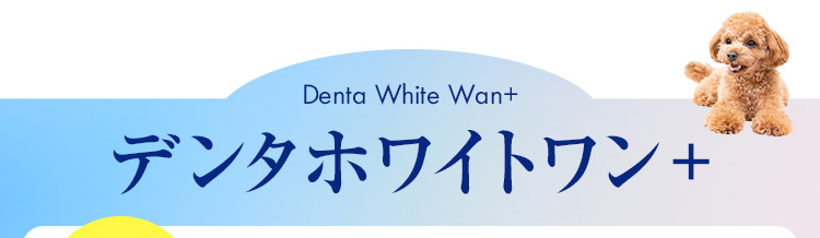 デンタホワイトワン＋
