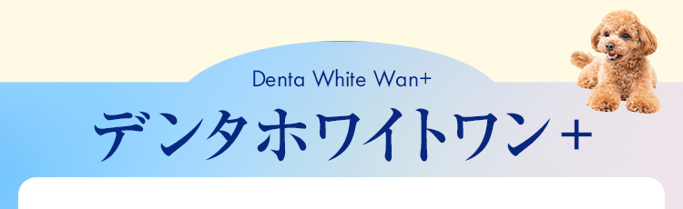 デンタホワイトワン＋