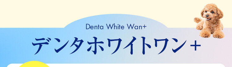 デンタホワイトワン＋