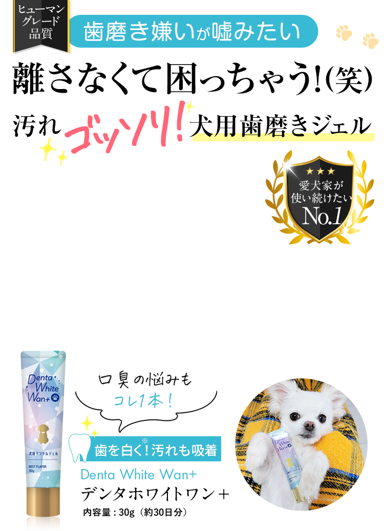 犬用歯磨きジェル デンタホワイトワン＋