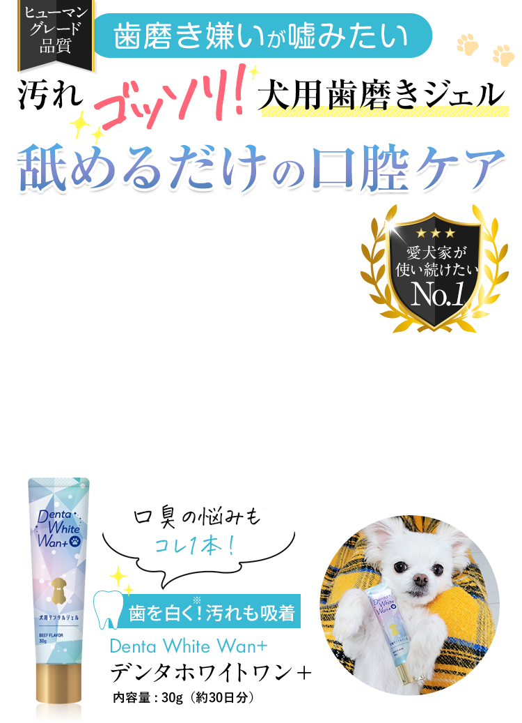 わんわんさん返品のことでききたいことがあるのでコメントお願いします わんわんさん返品のことでききたいことがあるのでコメントお願い