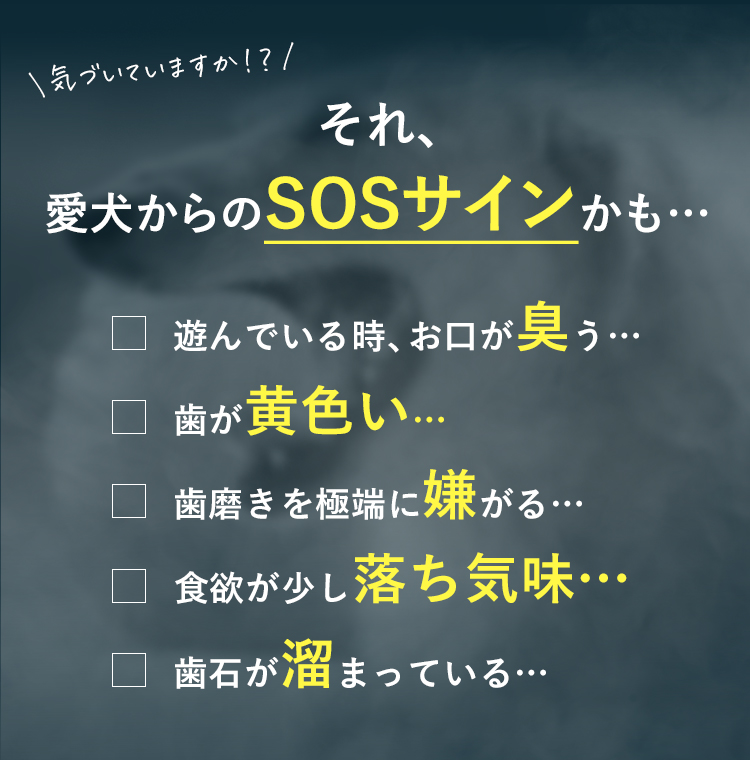 気づいていますか！？それ、愛犬からのSOSサインかも