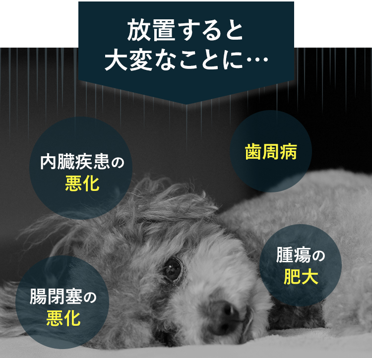 放置すると大変なことに