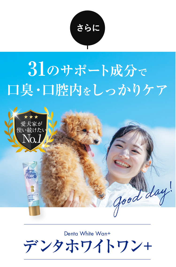31のサポート成分で口臭・口腔内をしっかりケア