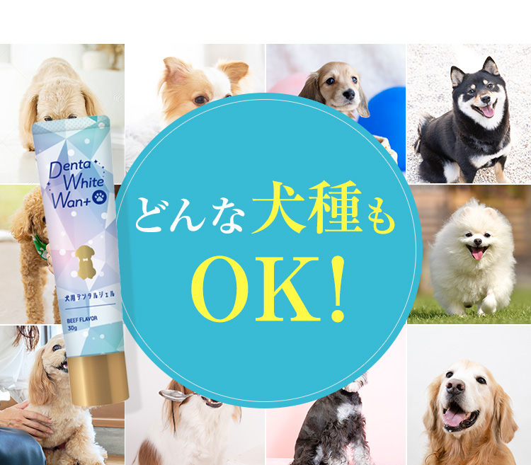 早めの予防が肝心です！