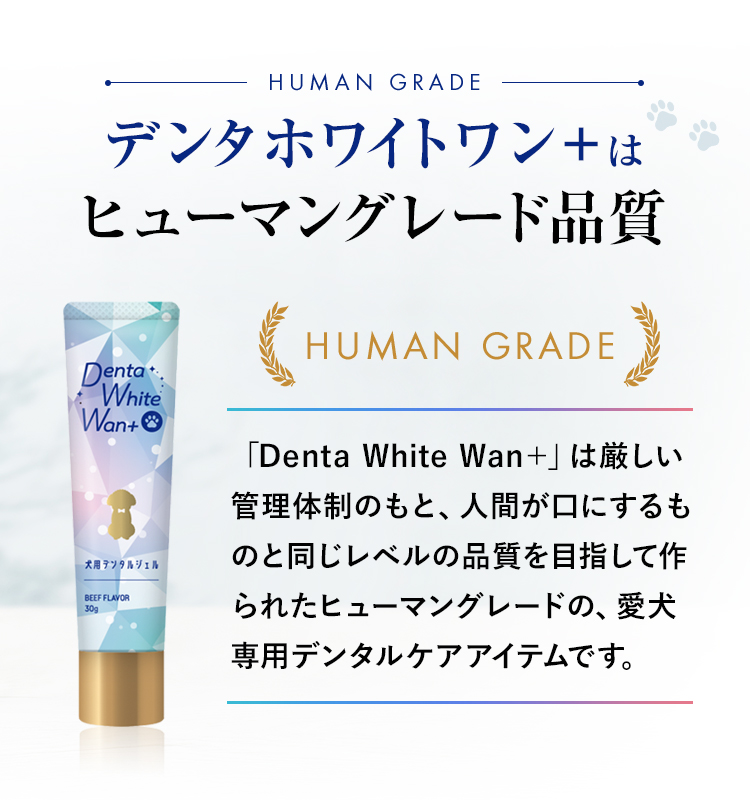 そこでデンタホワイトワン＋この食いつき！