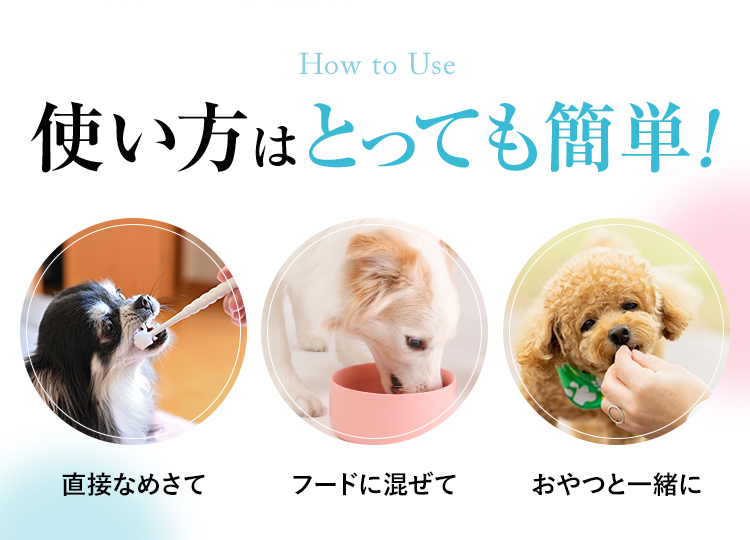 汚れゴッソリ！犬用歯磨きジェル