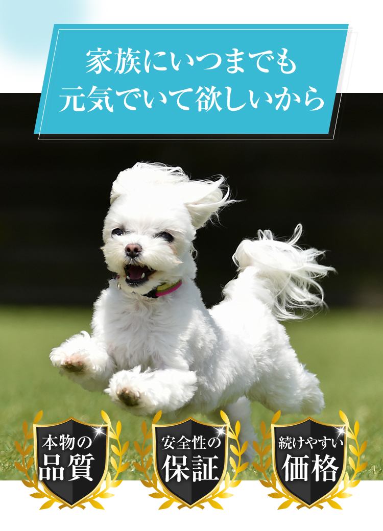 31のサポート成分で口臭・口腔内をしっかりケア