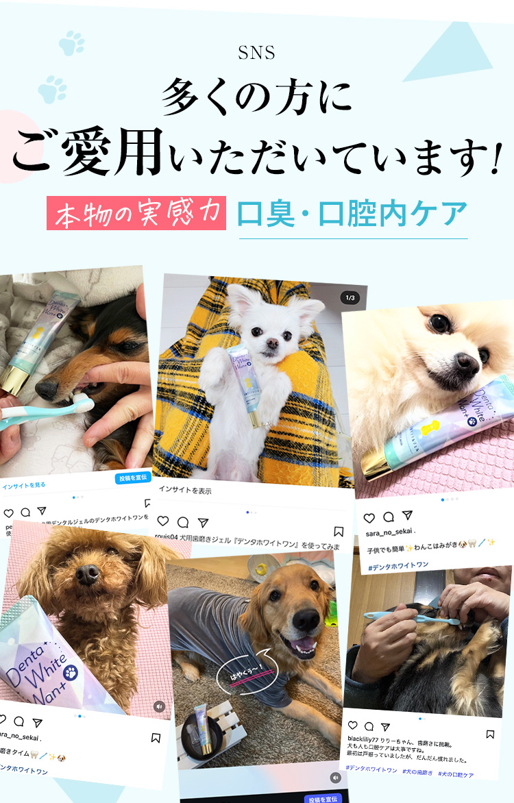 多くの方にご愛用いただいています！