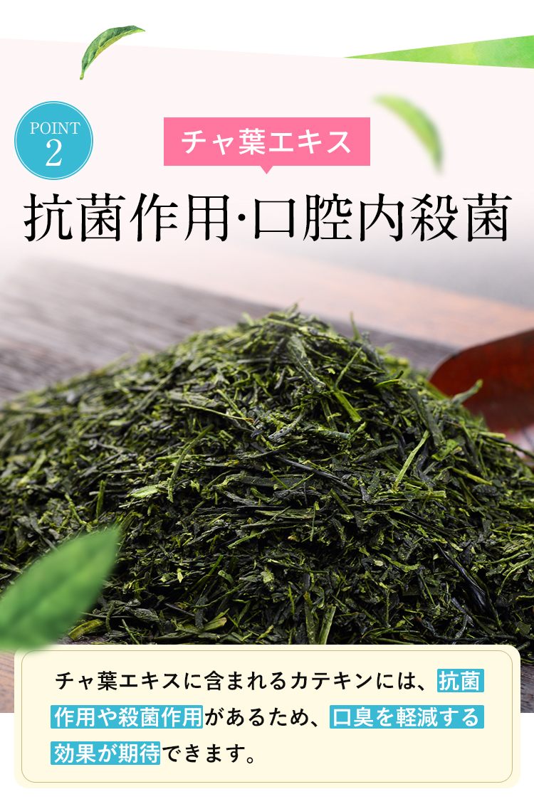 チャ葉エキス 抗菌作用・口腔内殺菌