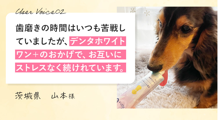 寿命も縮めます
