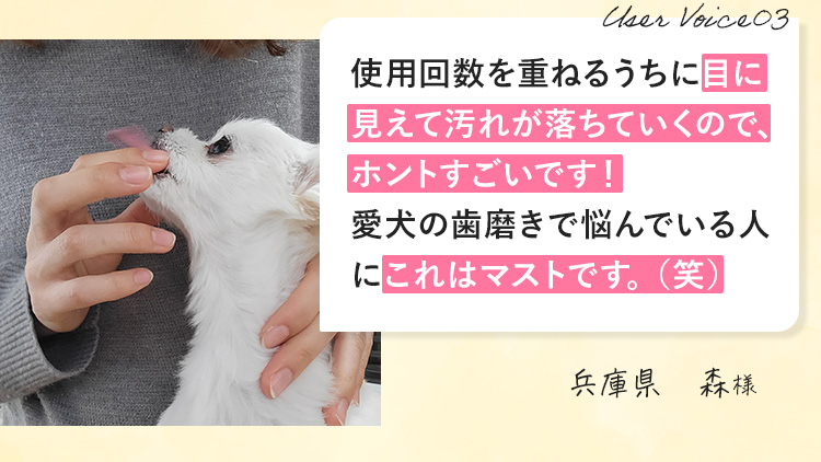 犬の歯垢は歯石になりやすくそのスピードはなんと人間の5倍！